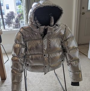 Aritzia TNA superpuff shorty silver (M)